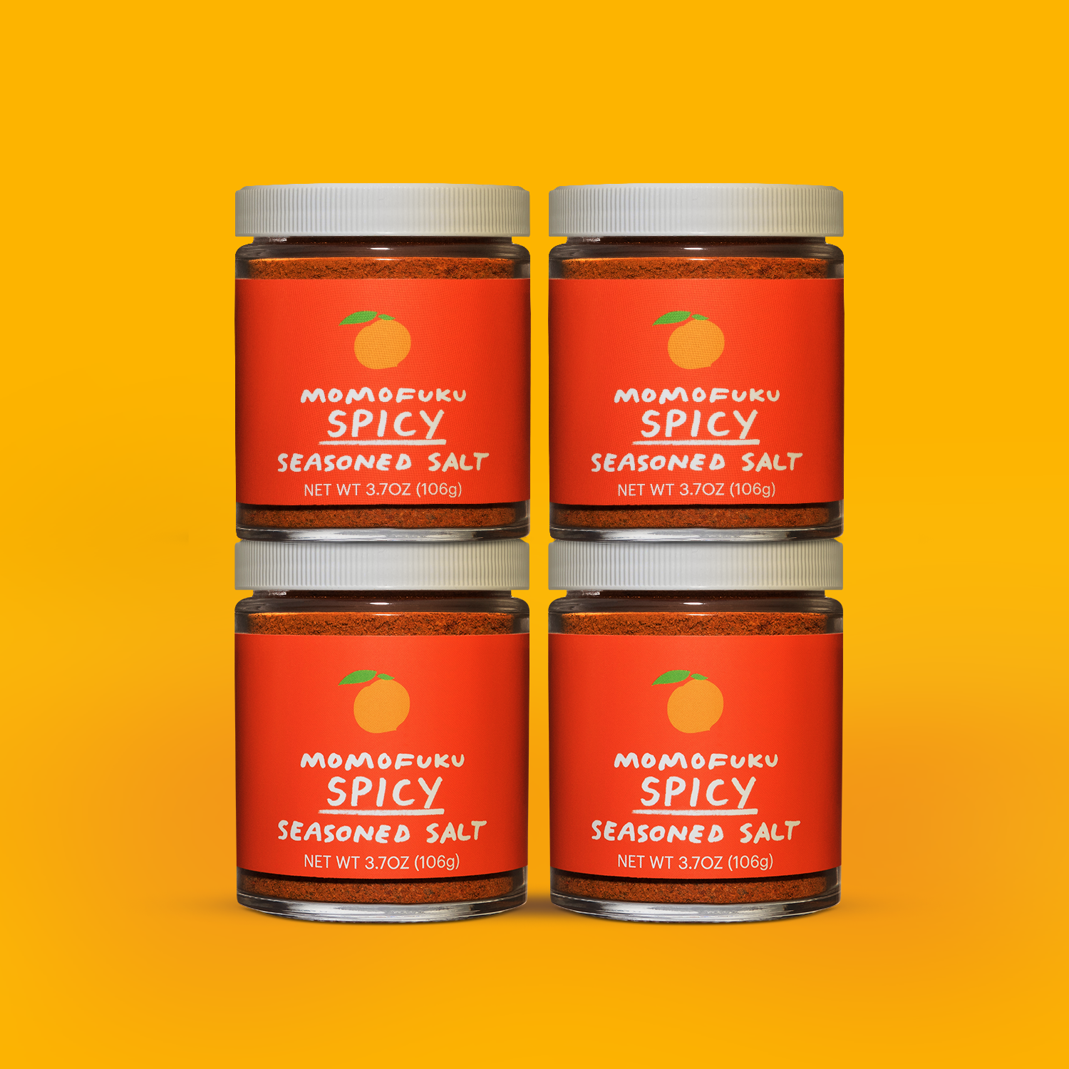 Spicy Salt 4-Pack - Fresh Style